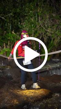 BIB:  <button type="button" onclick="openModal(27713798)" class="btn btn-primary btn-sm float-right" data-toggle="modal" data-target=".modal-high-quality">
                <i class="fa fa-download"></i> Download
                </button>